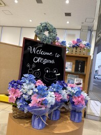 ショールームの飾りつけ♪